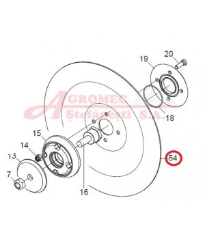 Disc patina G16043890R